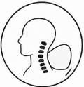Neck alignment